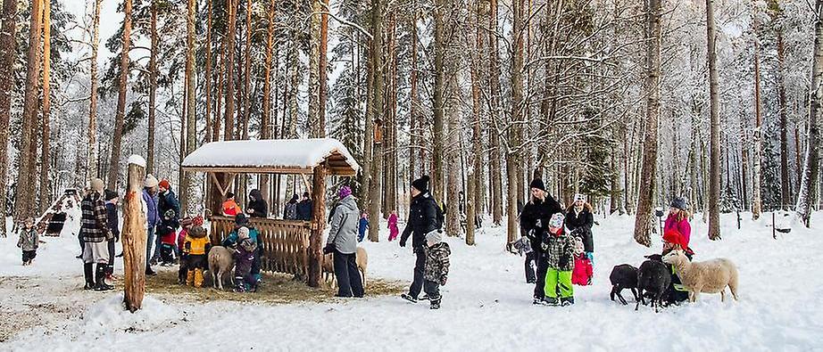 människor besöker naturskolans djur i vinterhagen